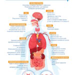 Що відбувається з організмом, коли ви курите