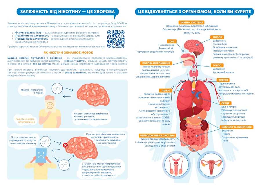 Що відбувається з організмом, коли ви курите